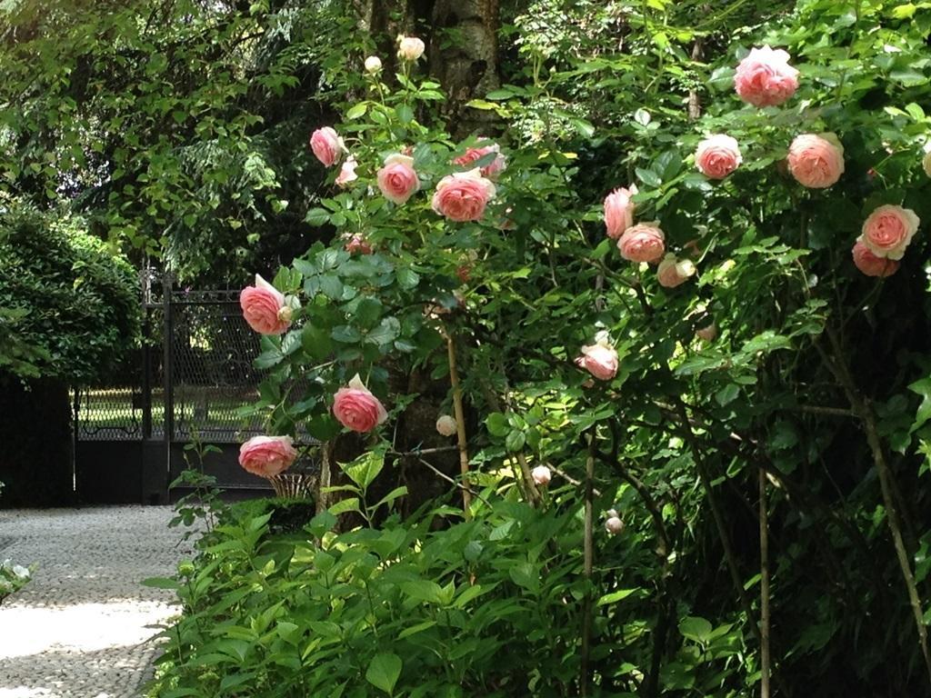 Casa Cuniolo Bed & Breakfast Tortona