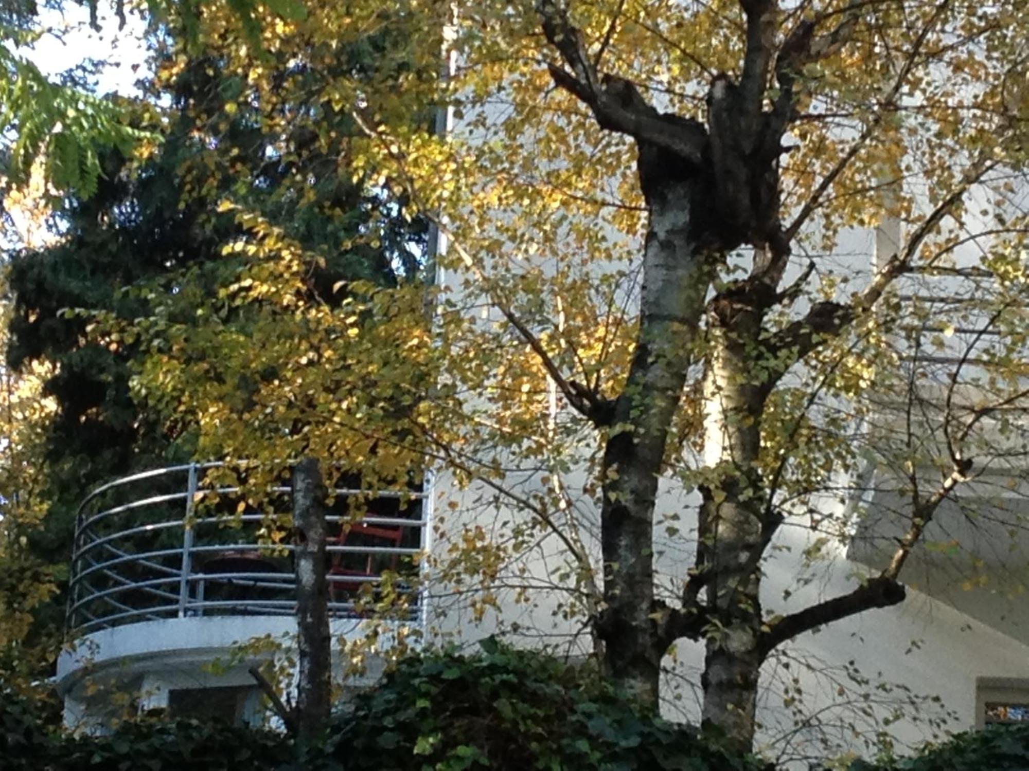 Casa Cuniolo *